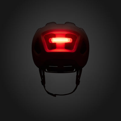 Casco Fizik Kassis - Marrone