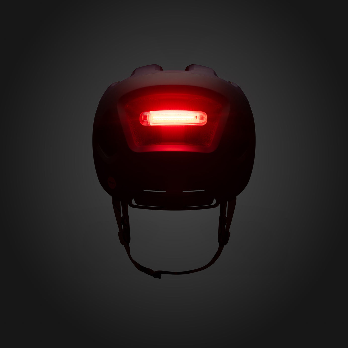 Casco Fizik Kassis - Blu