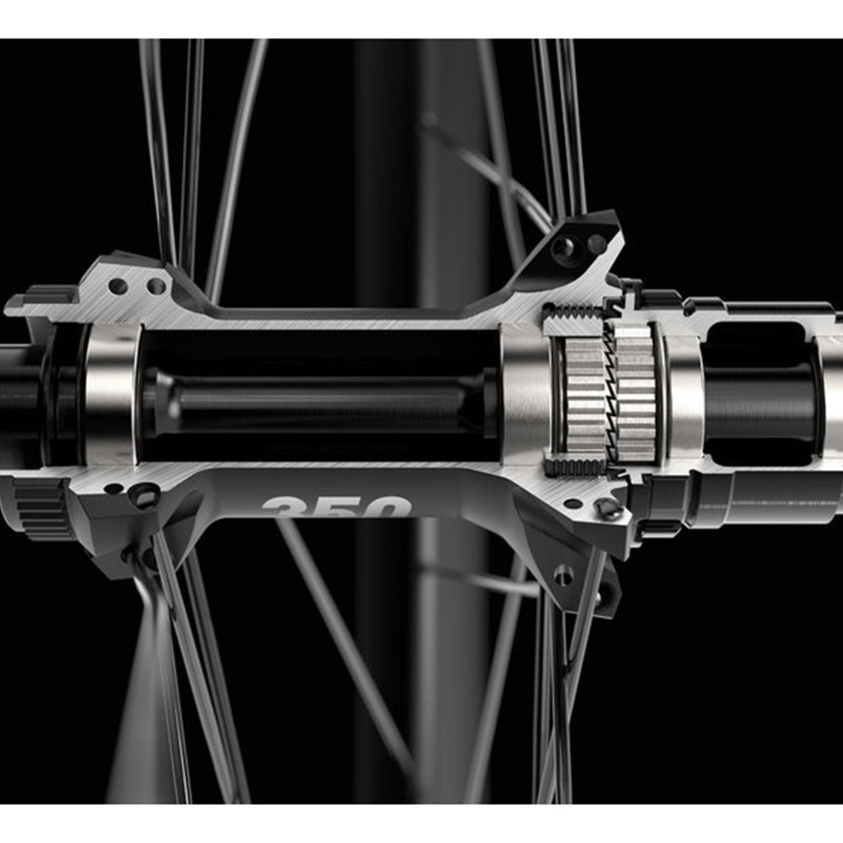 Ruote Dt Swiss ARC 1600 Spline DB 50 - Nero