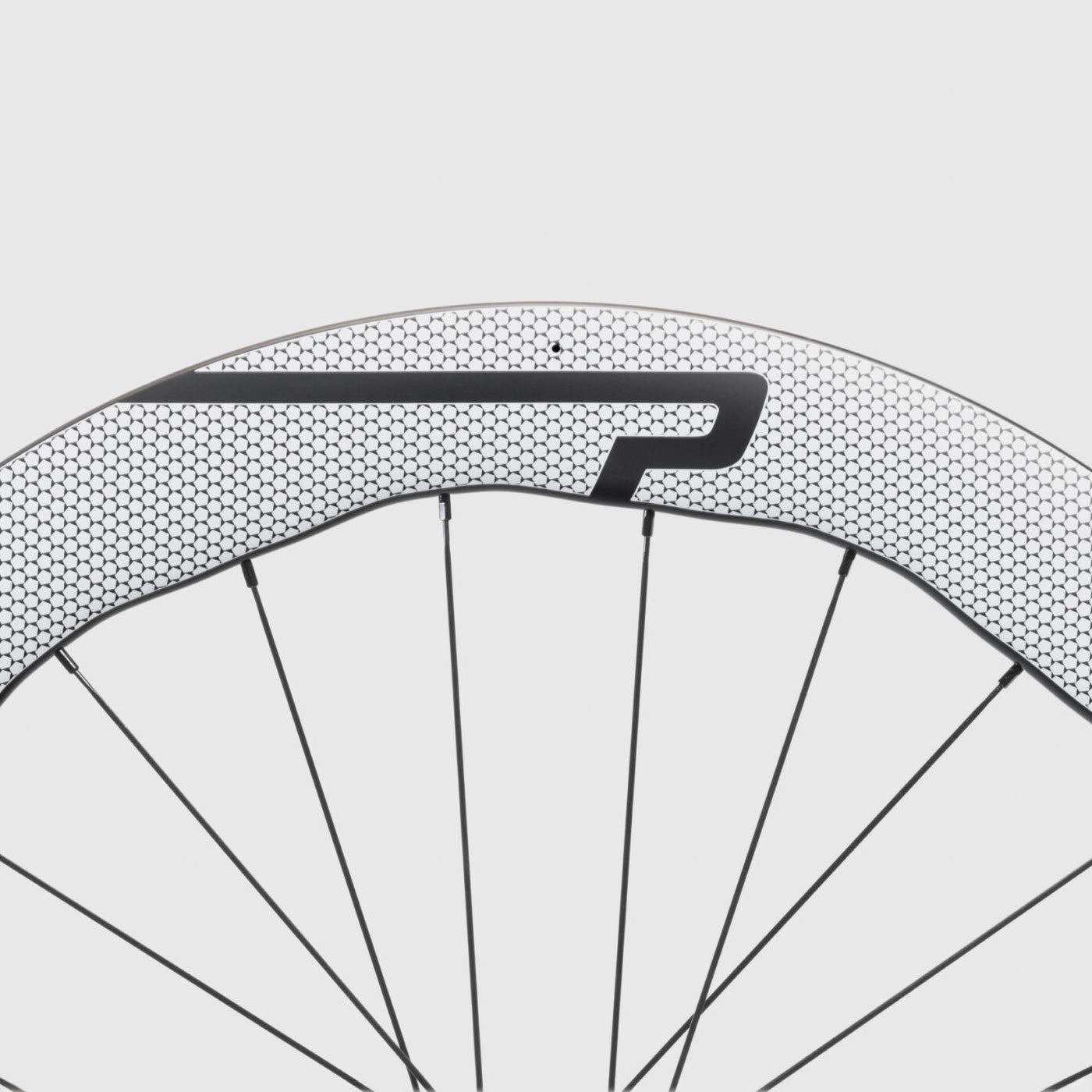 Ruote Princeton WAKE 6560 EVO Disc DT Swiss 240 EXP CL - Bianco