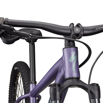 Specialized Rockhopper Comp - Viola