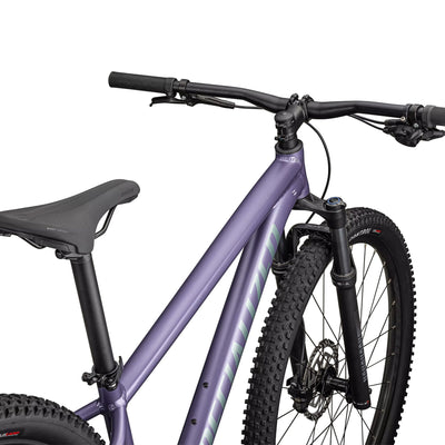 Specialized Rockhopper Comp - Viola