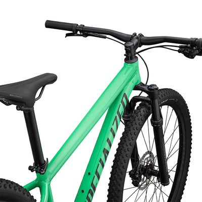 Specialized Rockhopper Expert - Verde