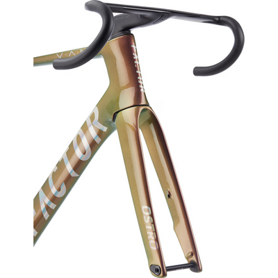 Telaio Factor Ostro Vam 2.0 disc - Scarab Limited Edition
