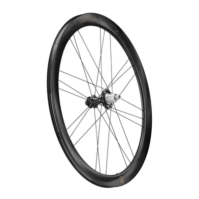Ruote Campagnolo Bora Ultra WTO 45 DB 2wf c23 - Nero