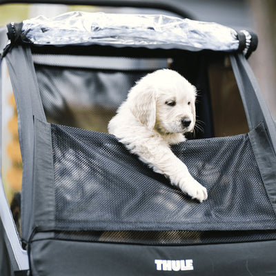 Thule Courier - Blu