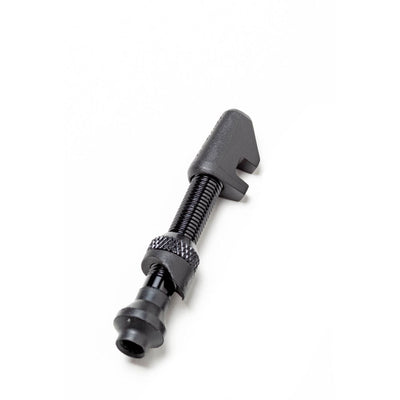 DT Swiss Lightweight Alu Tubeless Valve