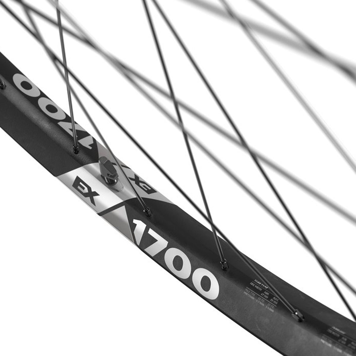 Ruote Dt Swiss EX 1700 30 Spline 29 6b Boost - Nero