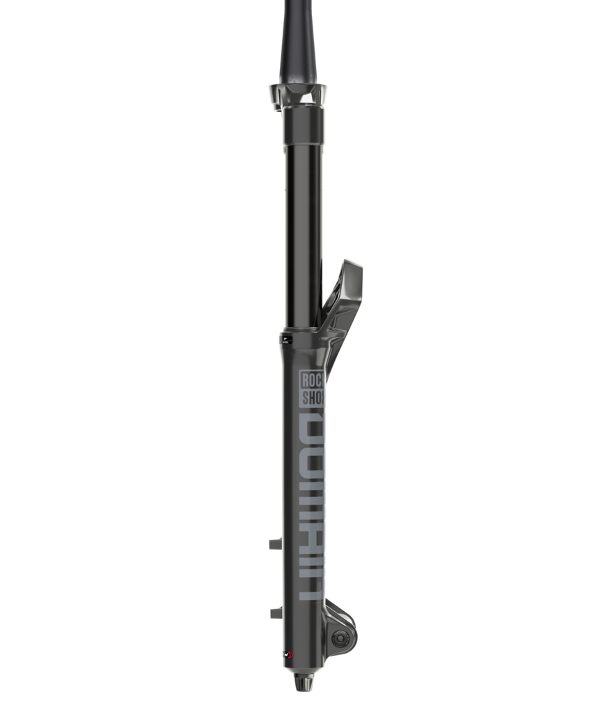 RockShox Domain R Fork
